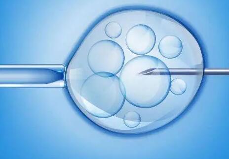 试管移植一个优质胚胎好还是2个普通胚胎好，听听专业人士分析
